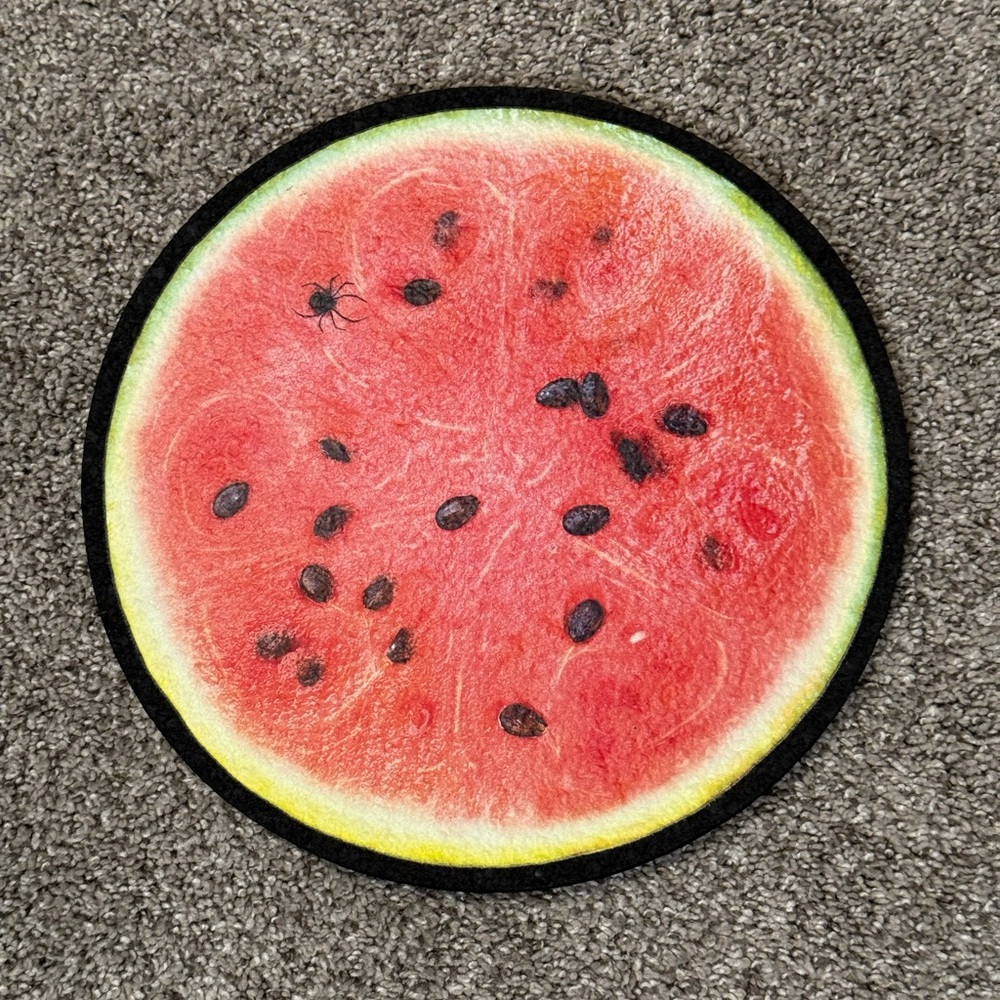 Watermelon Slice Moodmats Recycled Rubber Coaster